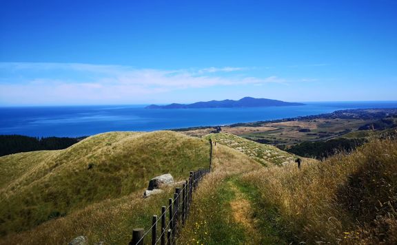 Looking west over Whareroa Farm's rolling hills towards Kapiti Island surrounded by deep blue water.