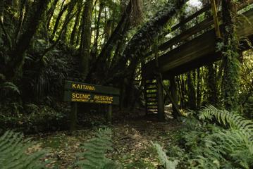 A wooden sign for the Kaitawa Scenic Reserve, marked by yellow letters from the Department of Conservation, stands amidst the forest.