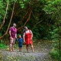 A young family stop along a gravel path to admire a bird flying through the lush green trees of Zealandia.