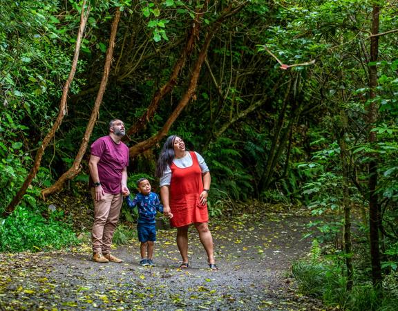 A young family stop along a gravel path to admire a bird flying through the lush green trees of Zealandia.
