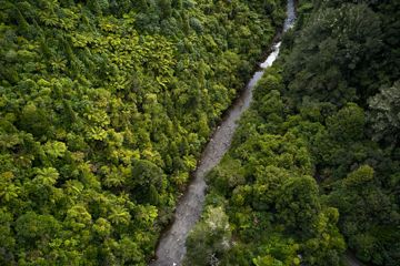 An aerial shot of the Karapoti Classic and Karapoti Challenge courses in Akatarawa Forest