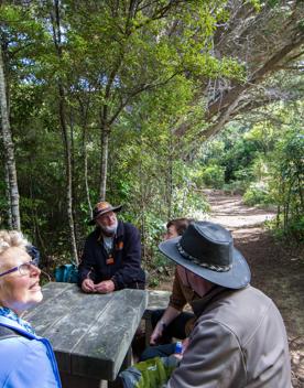Seven people sit around a small wood table in the forest in Zealandia, a protected natural area in Wellington.