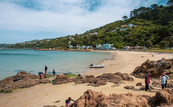 Scorching Bay Beach in Miramar, Wellington.