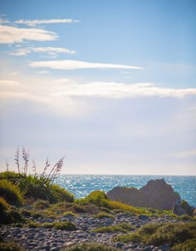 A group of people and tour guide walk along Boulder Bank Loop Track on Kapiti Island.
