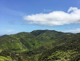 Lush green hills with a deep blue sky, on a sunny day.