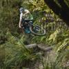 A mountain biker jumps on a dirt track amongst trees on Nga Tuna trail in Wainuiomata Park.