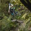 A mountain biker jumps on a dirt track amongst trees on Nga Tuna trail in Wainuiomata Park.