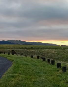 An expansive, coastal area of park and wilderness just north of the capital. With 180 hectares of open space and pockets of native bush, Whitireia Park is where people in Porirua come to roam on foot, bike, or hoof.