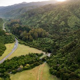 A birdseye view of Gums Loop hiking train in Wainuiomata Park, New Zeland.