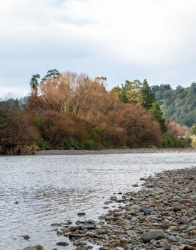 The screen location of Te Mārua  cliffs, where a river flows against vertical cliffs on the foothills of the Remutaka Range.