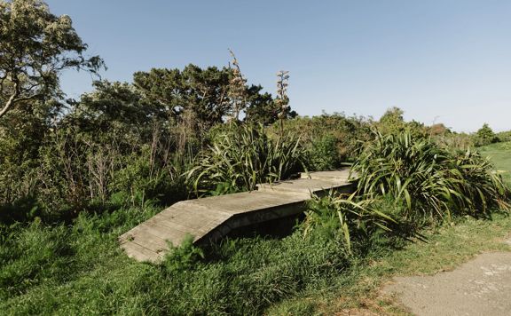 Raised wooden platform for kids to practice mountain biking on surrounded by native flax.