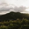Looking over back towards the Wainuiomata Hill Lookout from the Main Ridge and Howard Road tracks.