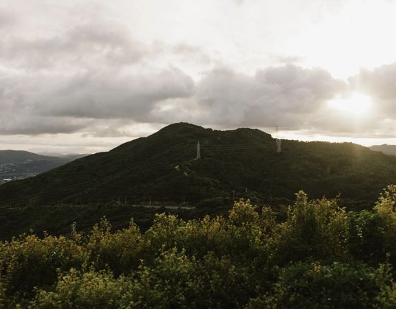 Looking over back towards the Wainuiomata Hill Lookout from the Main Ridge and Howard Road tracks.