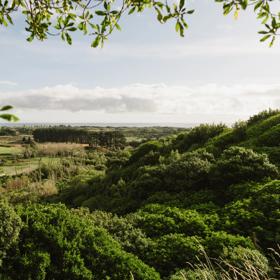 Looking through trees and the view of the ocean and farmland from Forest Loop Walk in Kāpiti Coast. 