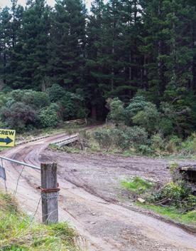 The Kiriwhakapapa Road Tararua Forest Park screen location, featuring walking trails and campsite opportunities in wild, natural landscapes.