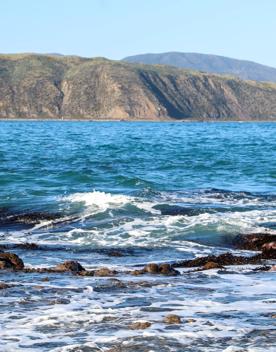 Breaker Bay on a sunny day, blue and green waves crashing on the stoney shore, with green cliffs surrounding.