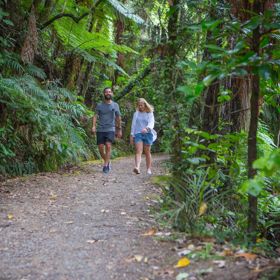 2 poeple walk along the East harbour Regional park Kowhai Street track.