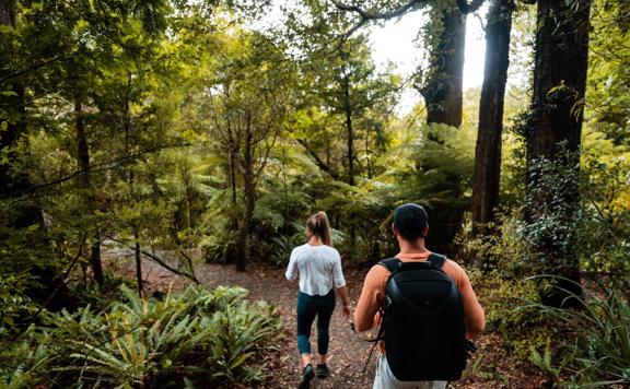 Two people walking away from camera on a metal trail in bush during daytime.