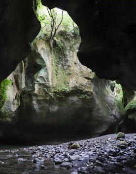 Patuna Chasm, a cave system in a gorge of a river cutting through limestone cliff.