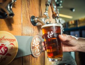 A pint of beer being poured at Fork & Brewer.