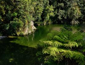 The Pākuratahi River in Kaitoke Regional Park.