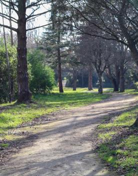 The screen locations for Masterton, Wairarapa. Named best small town in 2017, it features gardens, historic buildings, modern buildings, suburban areas, bridges, and streams.