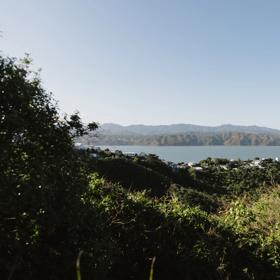 The view overlooking the bay from the Solitary trail at Centennial Reserve.