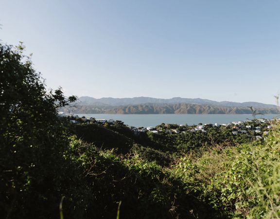 The view overlooking the bay from the Solitary trail at Centennial Reserve.