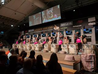 Competitors are lined up on stage at the Golden Shears World Premier Shearing and Woolhandling Championships.
