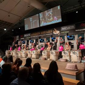 Competitors are lined up on stage at the Golden Shears World Premier Shearing and Woolhandleing Championships.