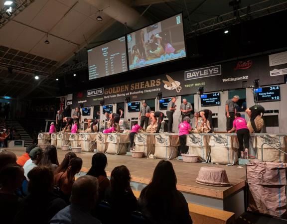 Competitors are lined up on stage at the Golden Shears World Premier Shearing and Woolhandleing Championships.