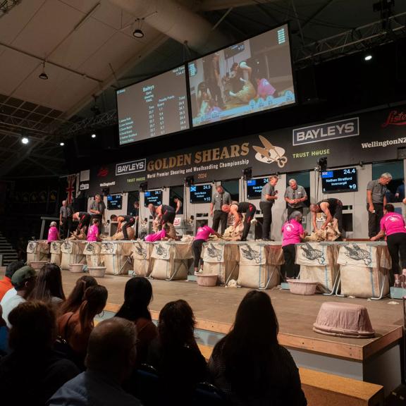 Competitors are lined up on stage at the Golden Shears World Premier Shearing and Woolhandling Championships.