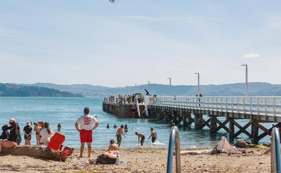 Days Bay beach in Eastbourne, Lower Hutt on a sunny summer's day. There are people swimming and hanging out on the pier.