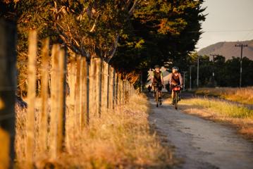 2 bikers cycling along the track next to the road, on the Western lake Road Section of the Remutaka Cycle Trail.