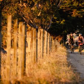 2 bikers cycling along the track next to the road, on the Western lake Road Section of the Remutaka Cycle Trail.