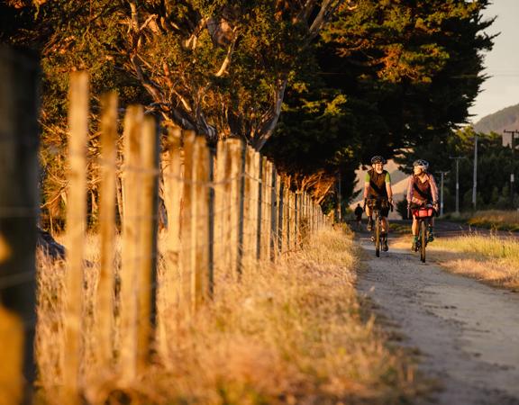 2 bikers cycling along the track next to the road, on the Western lake Road Section of the Remutaka Cycle Trail.