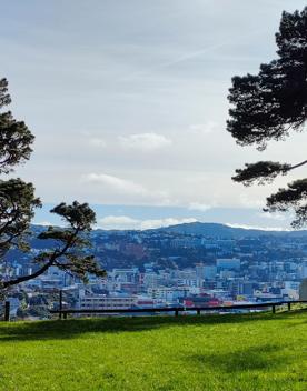 The former Mount Victoria Quarry site sits at the base of Wellington’s Town Belt and has views of the city.