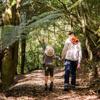 A section of trail Te Ara o Tama in Ōtari-Wiltons Bush. A parent and child hold hands and walk along the path as the child points upward.