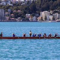 16 people paddle a waka in the Wellington Harbour.