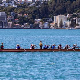 16 people paddle a waka in the Wellington Harbour.