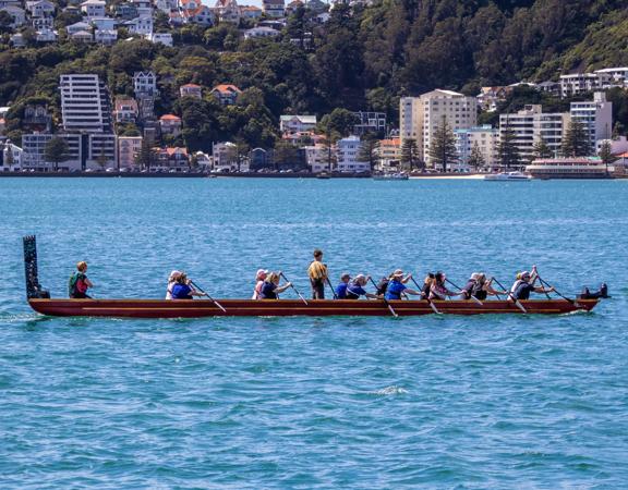 16 people paddle a waka in the Wellington Harbour.