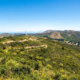 The Lizard Loop track at Mākara Peak Mountain Bike Park located in the Wellington Region.