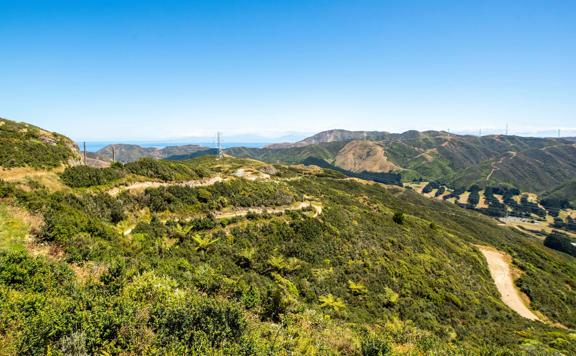 The Lizard Loop track at Mākara Peak Mountain Bike Park located in the Wellington Region. 