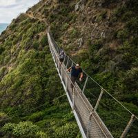 Two people walkikng on a suspension bridge on the Escarpment Track over looking Kapiti Island