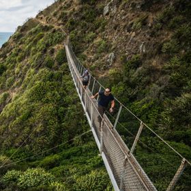 Two people walkikng on a suspension bridge on the Escarpment Track over looking Kapiti Island