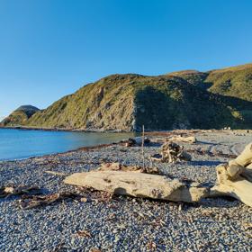 A quaint seaside village at the base of dramatic cliffs, Mākara is just 30 minutes from Wellington’s city centre. On its rugged western coast is a seaside village and a gently sloping, stony beach.