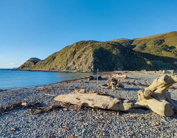 A quaint seaside village at the base of dramatic cliffs, Mākara is just 30 minutes from Wellington’s city centre. On its rugged western coast is a seaside village and a gently sloping, stony beach.