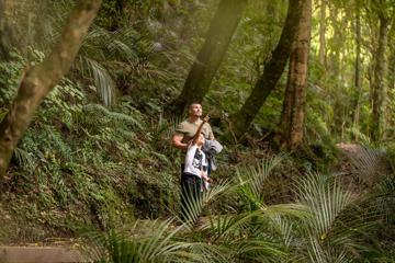 A child and adult in the bush looking into the trees and pointing.