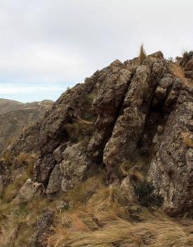 Long Gully Bush Reserve comprises 107 hectares of regenerating forest. It sits roughly 5 kilometres southwest of Wellington City, surrounded by the suburbs of Karori and Brooklyn.