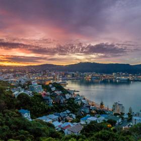 The view of Wellington city from Mount Victoria at sunset.